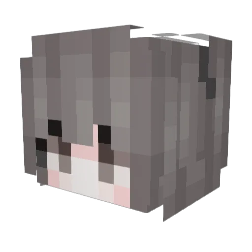Nakanee Minecraft avatar head, 3D render
