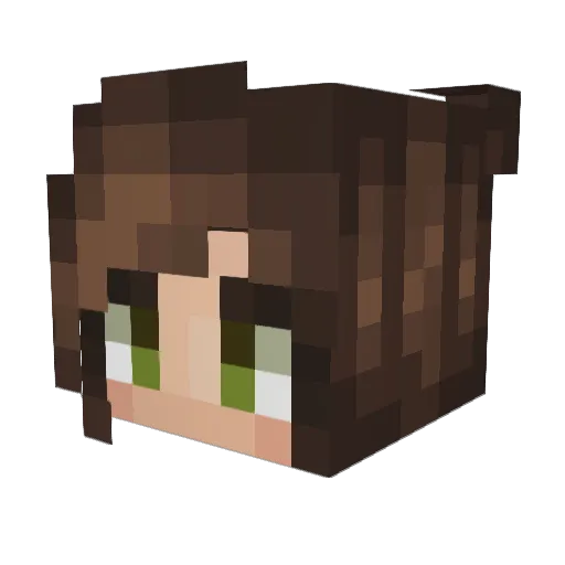 Nake2323 Minecraft avatar head, 3D render