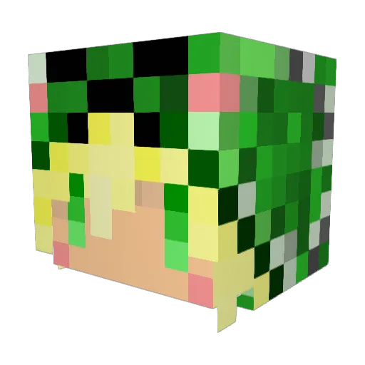Naki55 Minecraft avatar head, 3D render