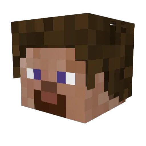 Nakonakoni Minecraft avatar head, 3D render