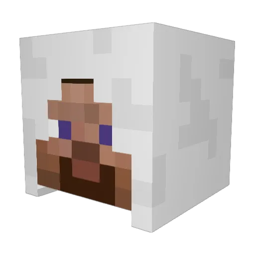 Nakran29 Minecraft avatar head, 3D render