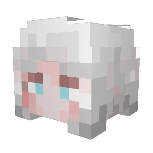 Nakrissa Minecraft avatar head, 3D render