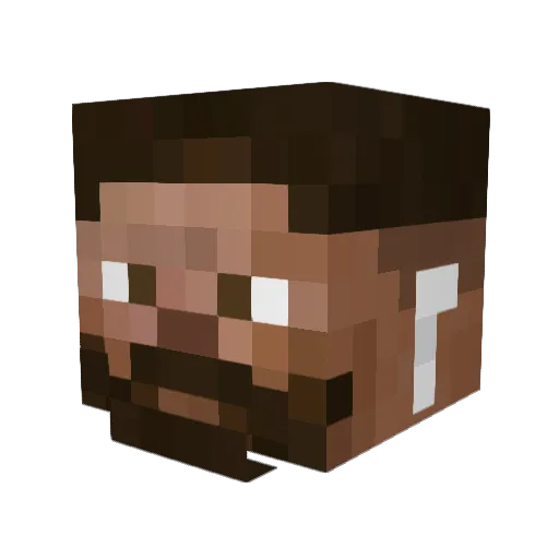 Nakts Minecraft avatar head, 3D render