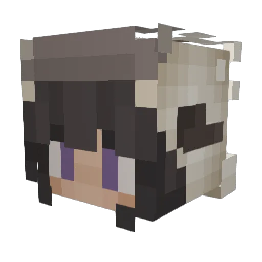 Naku481 Minecraft avatar head, 3D render