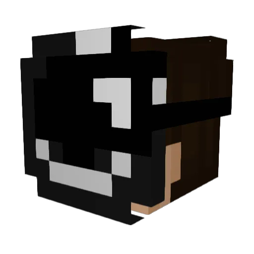 NakuKarasu Minecraft avatar head, 3D render