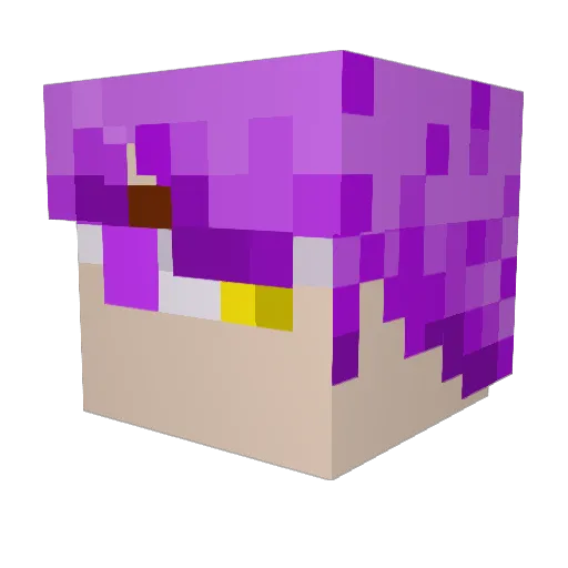 NakunaM Minecraft avatar head, 3D render