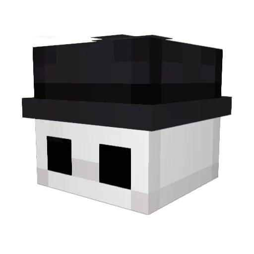 Nakupation Minecraft avatar head, 3D render