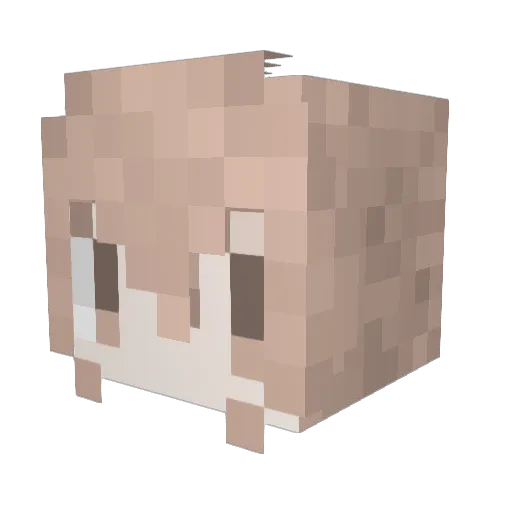 Nal3824 Minecraft avatar head, 3D render