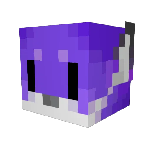 NalaFox2014 Minecraft avatar head, 3D render