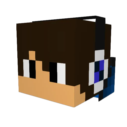 Nalex123 Minecraft avatar head, 3D render