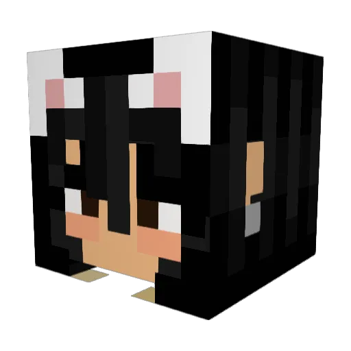 Nalgini Minecraft avatar head, 3D render