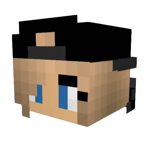 Naliara Minecraft avatar head, 3D render