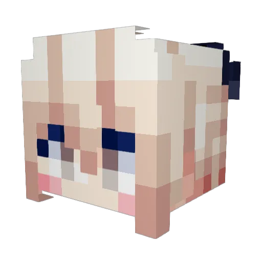 Naliyall Minecraft avatar head, 3D render