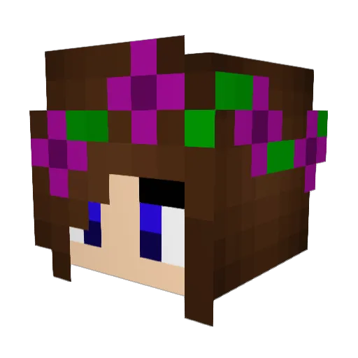 Nallalla Minecraft avatar head, 3D render