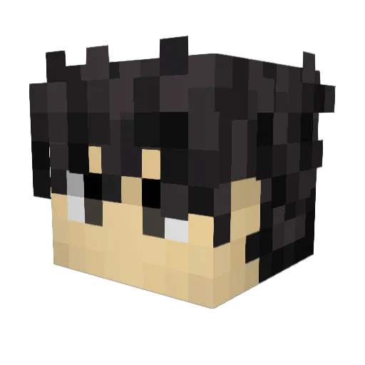 Nalos974 Minecraft avatar head, 3D render