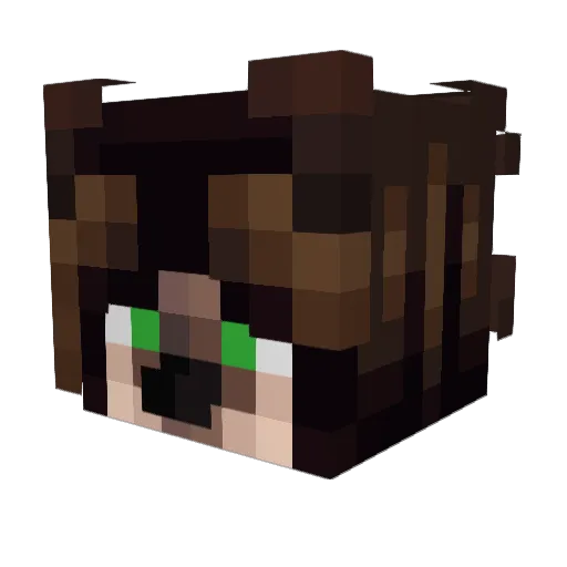 Nalowww Minecraft avatar head, 3D render