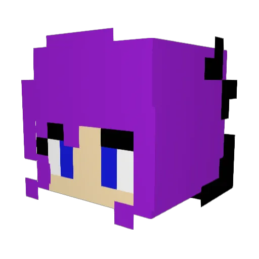 Nalsev Minecraft avatar head, 3D render