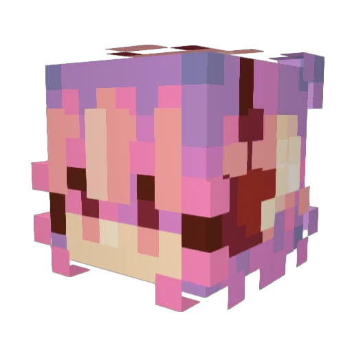 Nalu17 Minecraft avatar head, 3D render