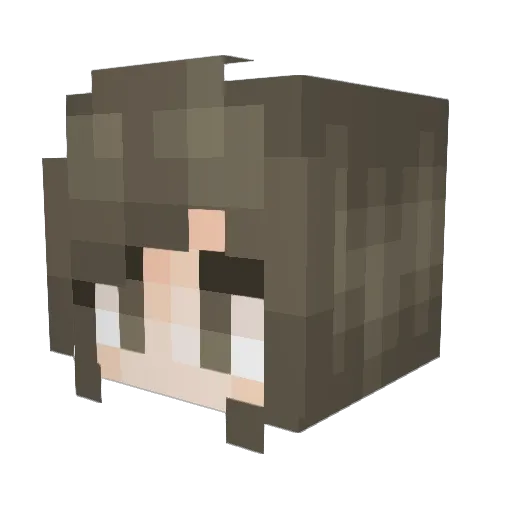 Naluuy Minecraft avatar head, 3D render