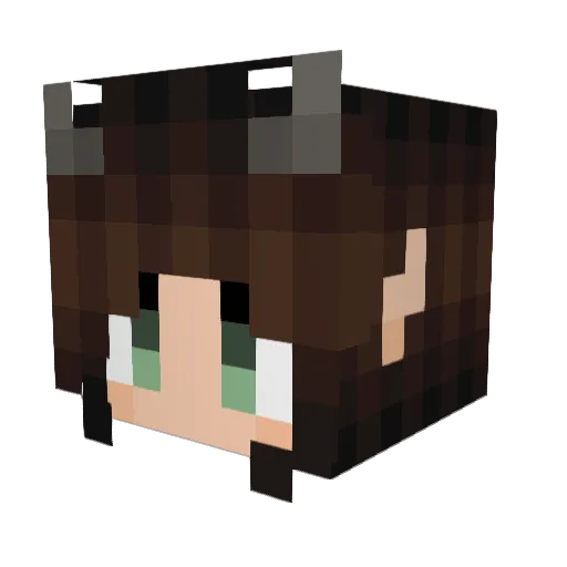 Nalwar Minecraft avatar head, 3D render