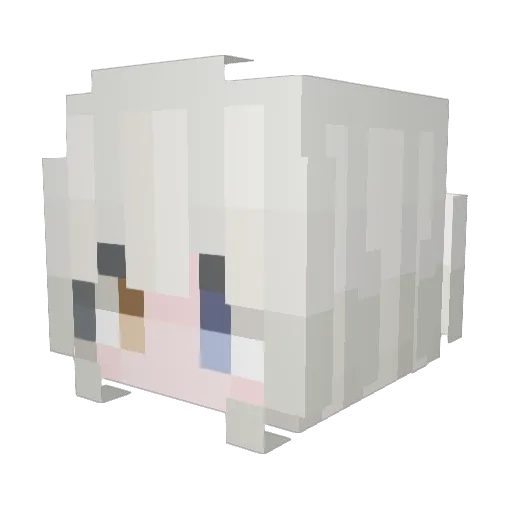 Nam0nak1 Minecraft avatar head, 3D render