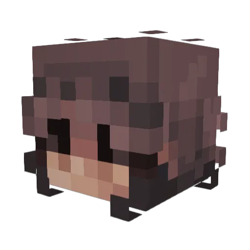 Nam20001 Minecraft avatar head, 3D render