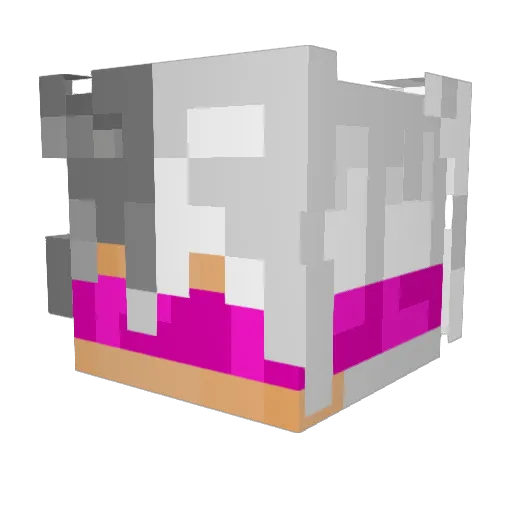 NameExiled Minecraft avatar head, 3D render