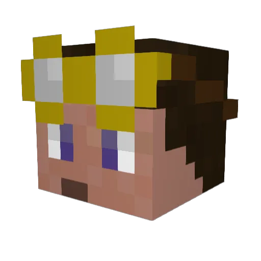NameIsTaken1 Minecraft avatar head, 3D render