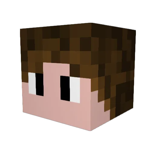 NameOfWhimsy Minecraft avatar head, 3D render