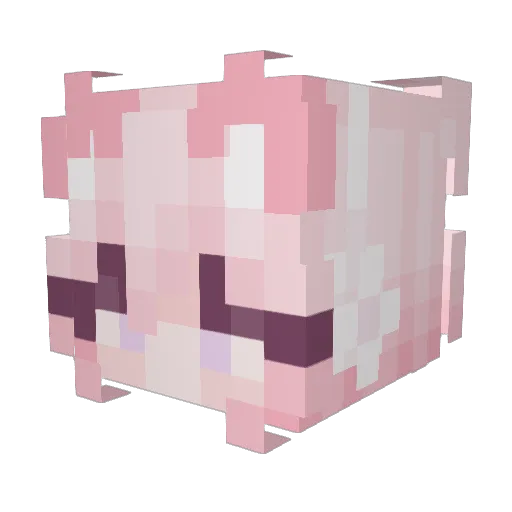 NamePlayerOG Minecraft avatar head, 3D render