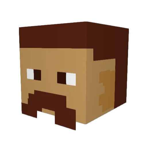 NameUnavailable_ Minecraft avatar head, 3D render