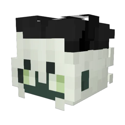 Name_1233 Minecraft avatar head, 3D render