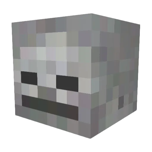 Name_304 Minecraft avatar head, 3D render