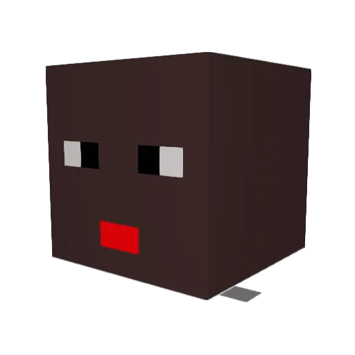 Name_Coa Minecraft avatar head, 3D render