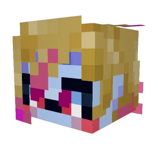 Name_Taken251 Minecraft avatar head, 3D render