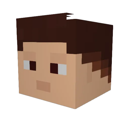 Named28 Minecraft avatar head, 3D render