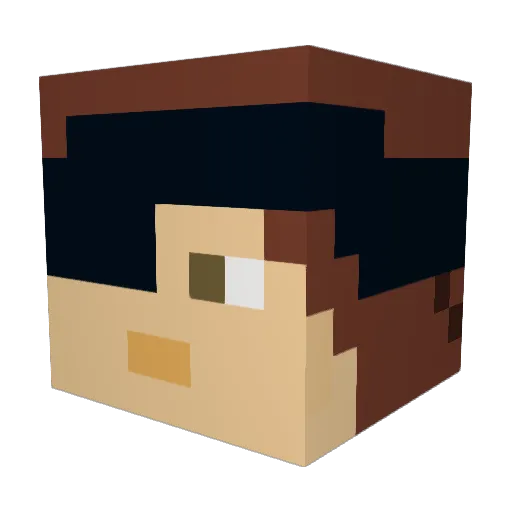 NamedAgain Minecraft avatar head, 3D render
