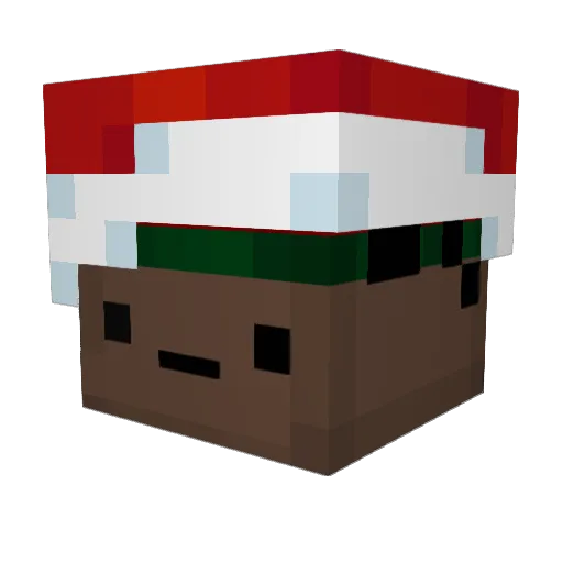 NamedCrowd29266 Minecraft avatar head, 3D render