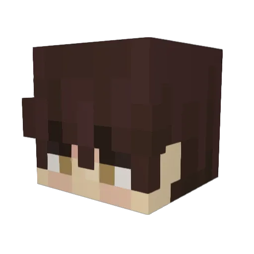 NamedFares Minecraft avatar head, 3D render