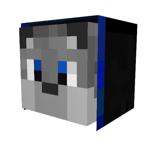Nameixam Minecraft avatar head, 3D render