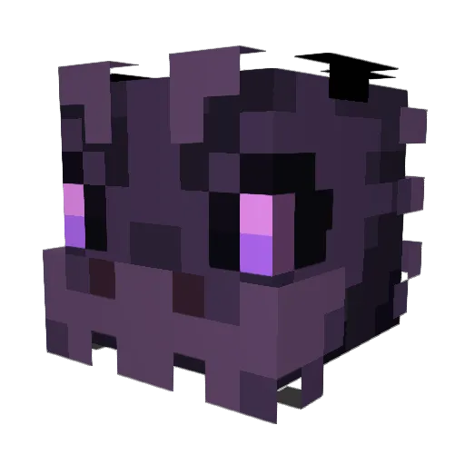 Namejs11 Minecraft avatar head, 3D render