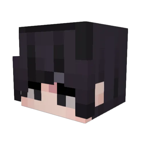 Nameless370 Minecraft avatar head, 3D render