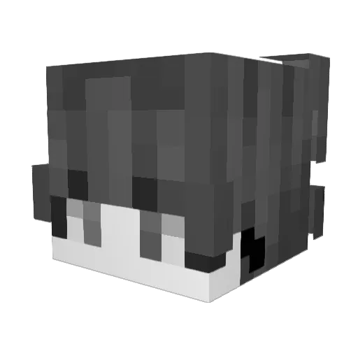 Nameless660 Minecraft avatar head, 3D render