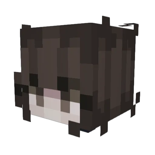 NamelessAV Minecraft avatar head, 3D render