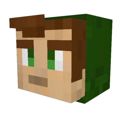 NamelessAidan Minecraft avatar head, 3D render