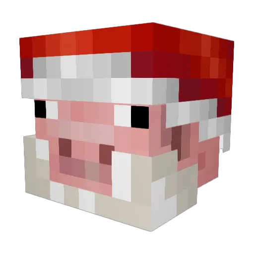 NamelessKing100 Minecraft avatar head, 3D render