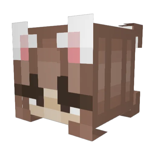 NamelessLostInSp Minecraft avatar head, 3D render
