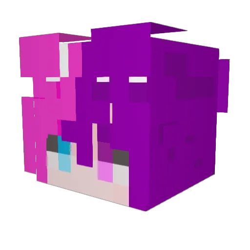 NamelessPuppy Minecraft avatar head, 3D render