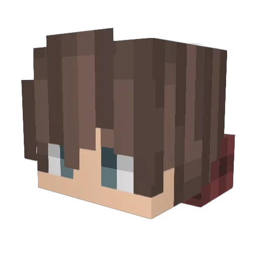 Nameless_0076 Minecraft avatar head, 3D render