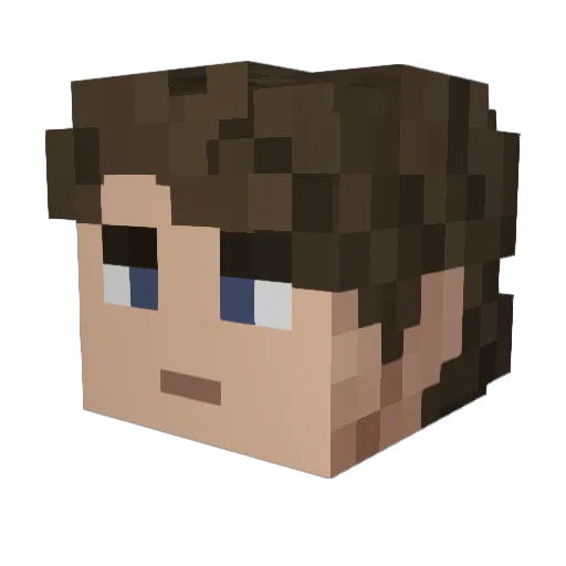 Nameless_1458 Minecraft avatar head, 3D render